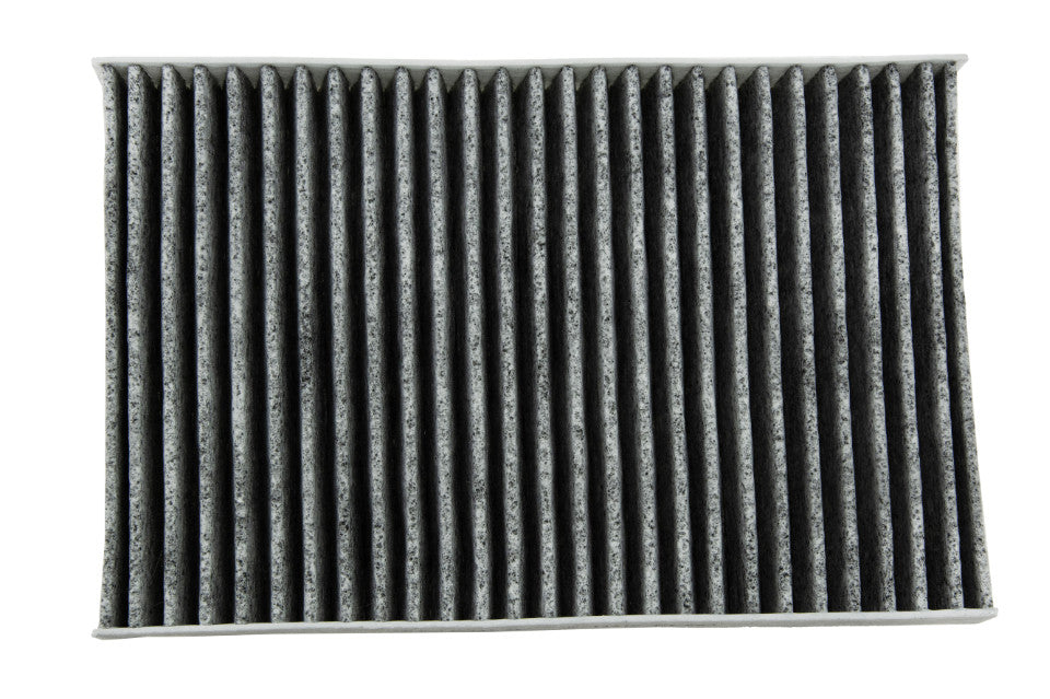 Interieurfilter NTY: FCF-CH-017C OEM 100747900A