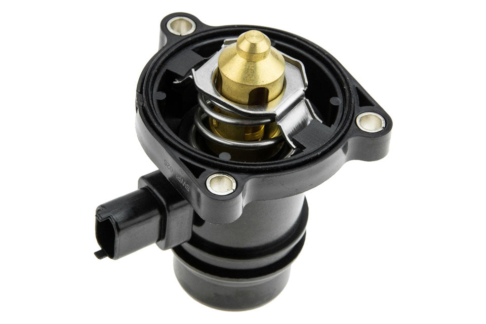 Thermostat OEM 24109996