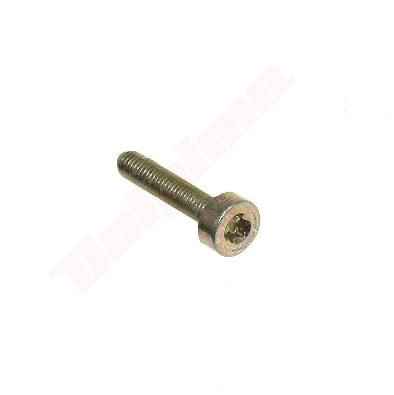 Cilinderkopbout passend op STIHL T27 M5x23 ( 9022 313 1030 )
