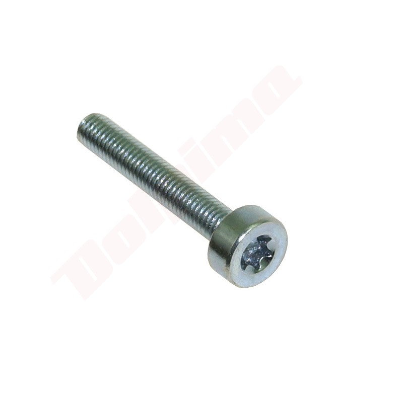 Cilinderkopbout passend op STIHL T27 M5x30 ( 9022 341 1070 )