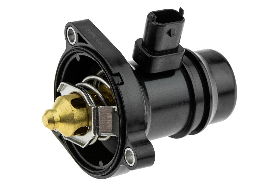 Thermostat OEM 24109996