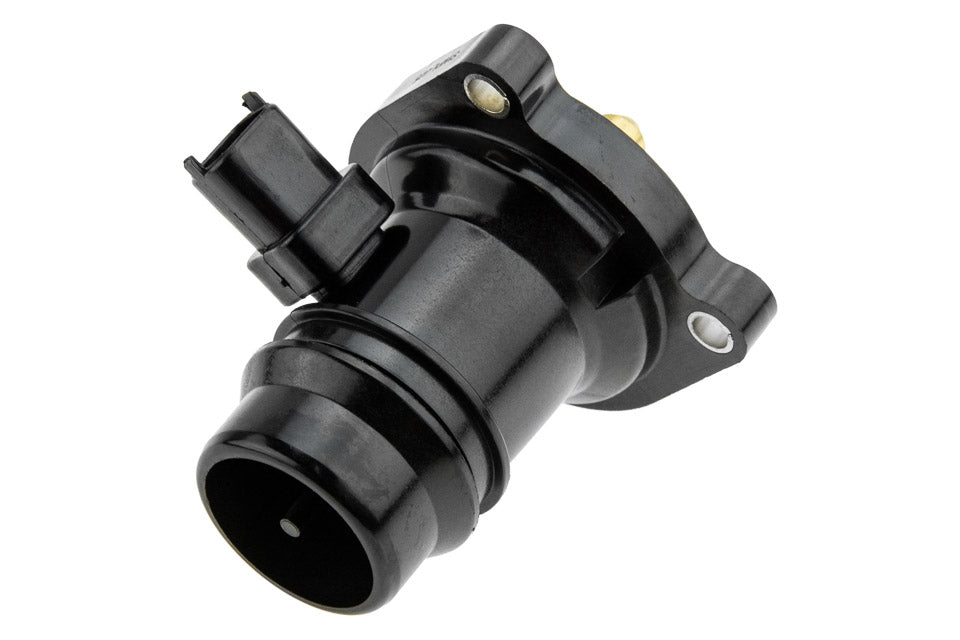Thermostat OEM 24109996