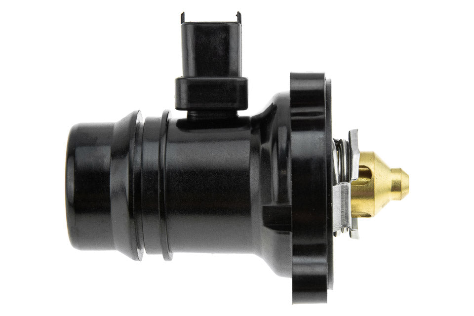 Thermostat OEM 24109996