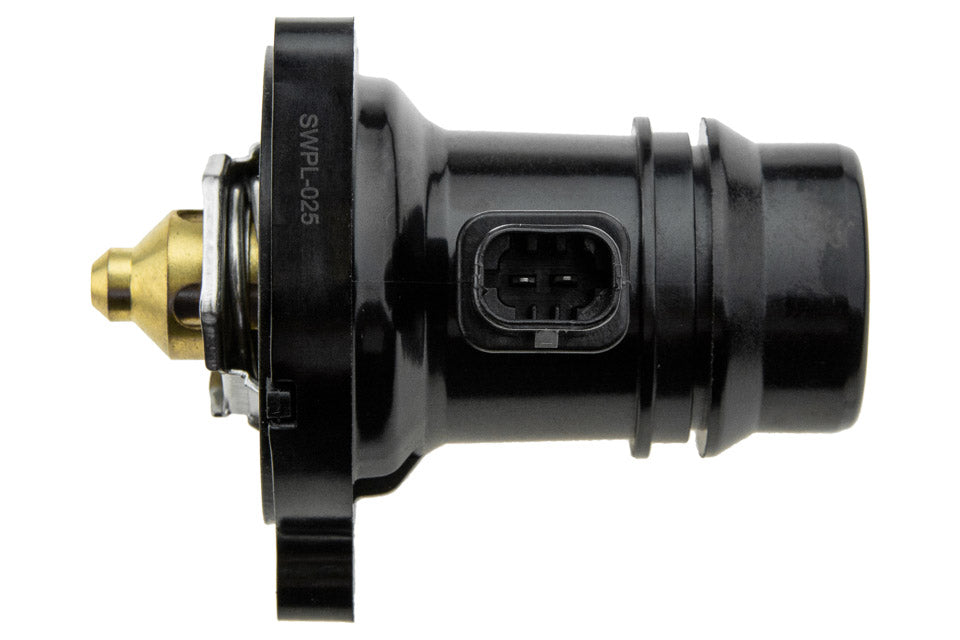 Thermostat OEM 24109996