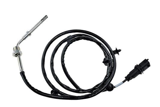 Uitlaatgastemperatuur sensor