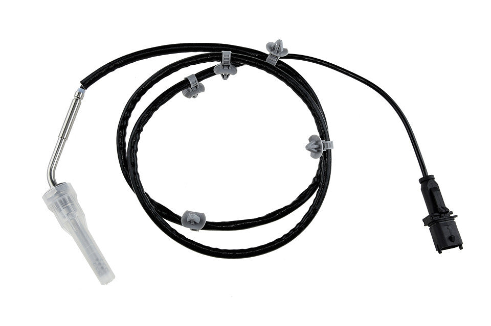 Uitlaatgastemperatuur sensor