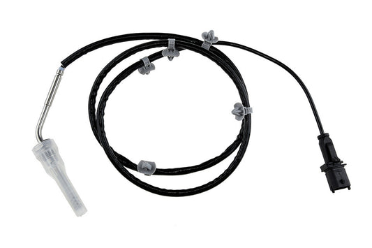 Uitlaatgastemperatuur sensor