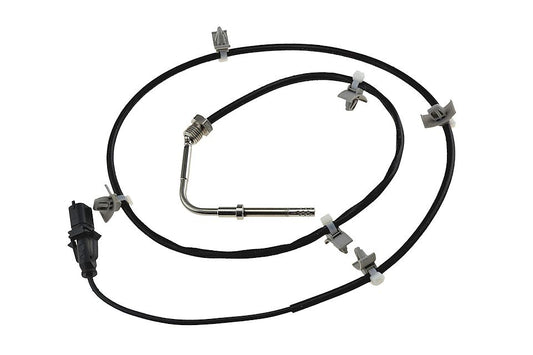 Uitlaatgastemperatuur sensor
