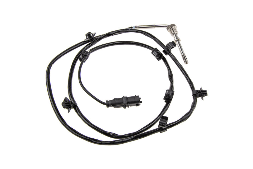 Uitlaatgastemperatuur sensor