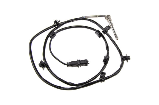 Uitlaatgastemperatuur sensor