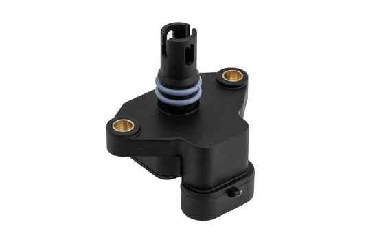 Map sensor