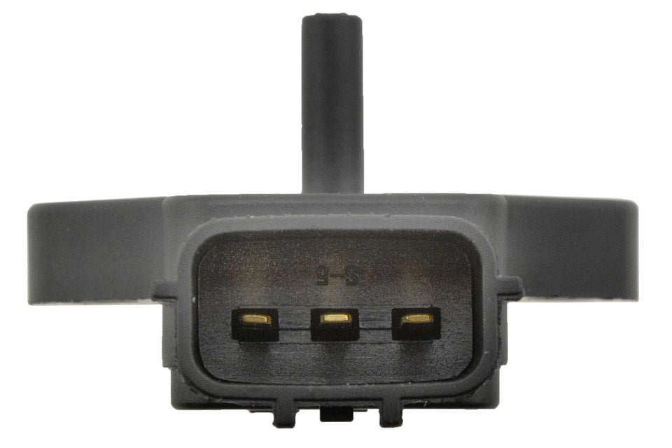 Map sensor