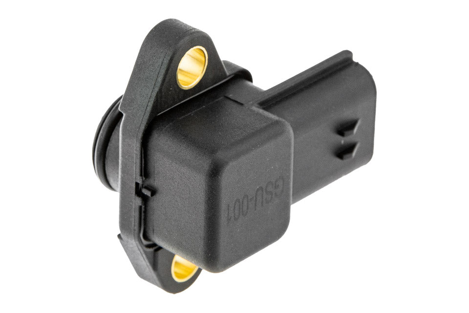 Map sensor