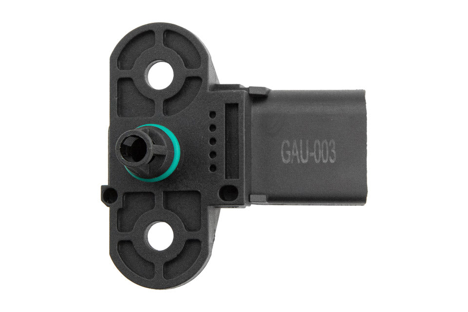 Map sensor