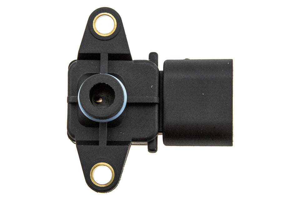 Map sensor