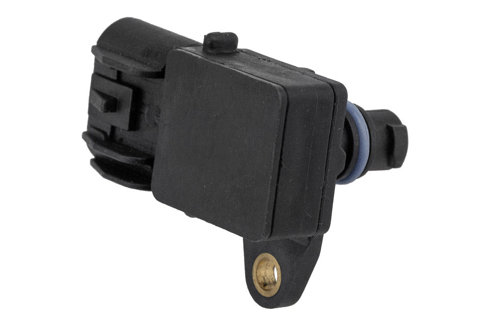 Map sensor