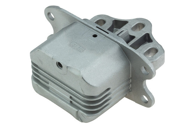 Aslichaam, motorsteunlager