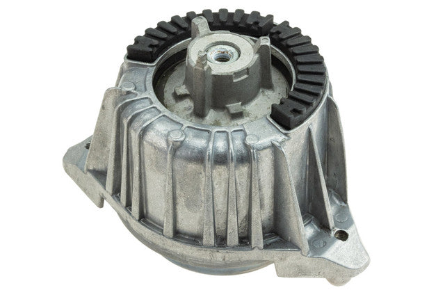Aslichaam, motorsteunlager