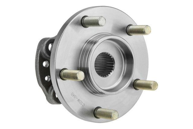 Wiellagerset achteras