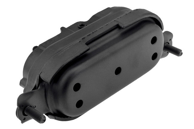 Aslichaam, motorsteunlager