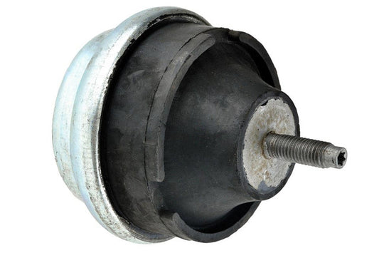 Aslichaam, motorsteunlager