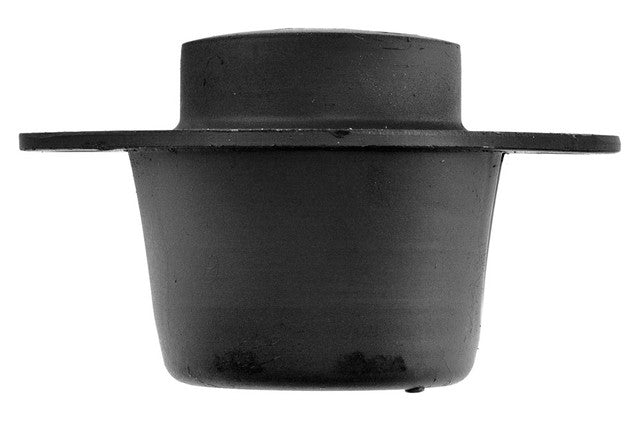 Aslichaam, motorsteunlager